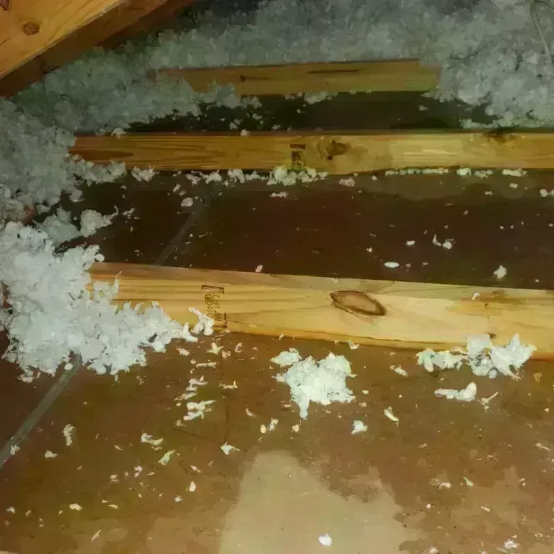 Attic Water Damage in Pine Crest, TN